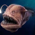 Uhhno Profile Picture