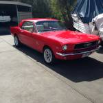 Stevemp123 Profile Picture