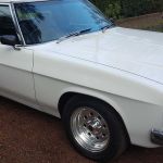 Nick S Profile Picture