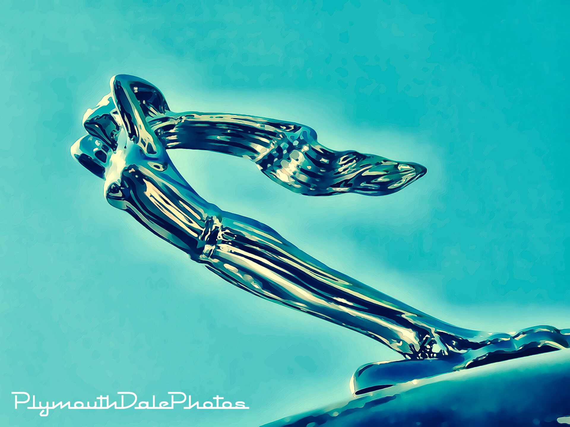 Hood Ornaments
