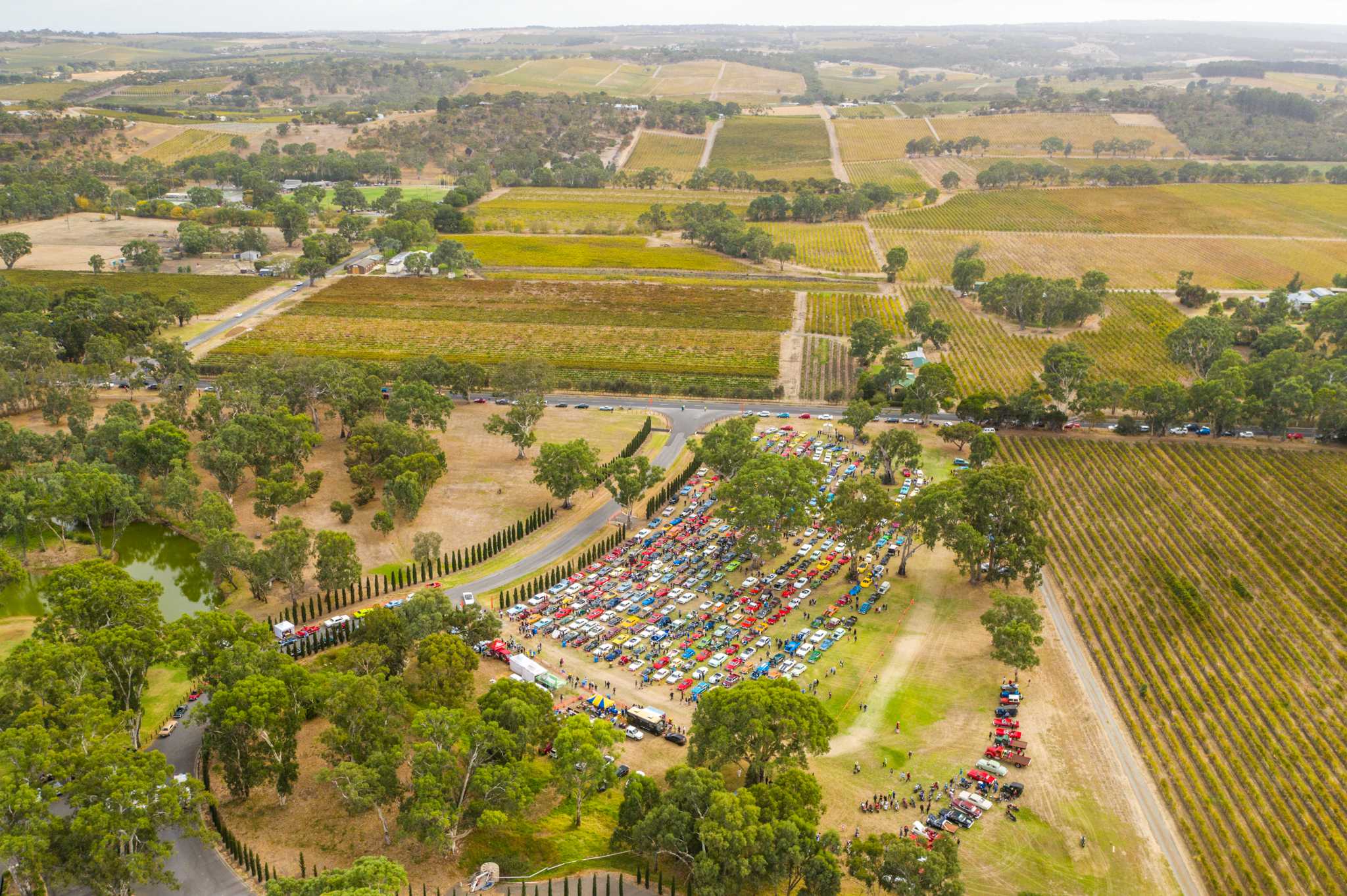 McLaren Vale Vintage & Classic Car Day photos from the ground and above