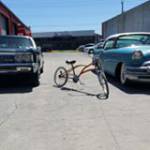 Eddie Furtado Profile Picture