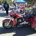 Steven Boss profile picture