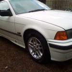 Shiner Profile Picture