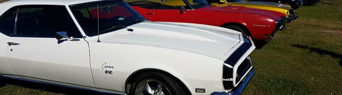The Sydney Car Events Charity Show n Shine (NSW) Cover Image