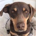 Graeme Cook Profile Picture