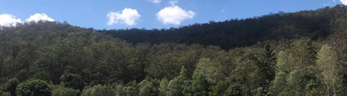 Nerang Retro Cruise Night - Christmas edition-Cars, beer & food (Qld) Cover Image