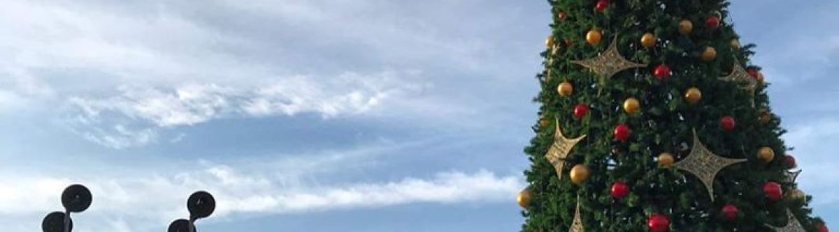 Border V-Dubs Christmas Catch Up (Vic) Cover Image