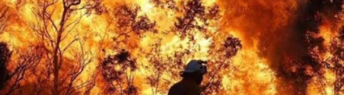 Charity Cruise for NSW bushfires (WA) Cover Image