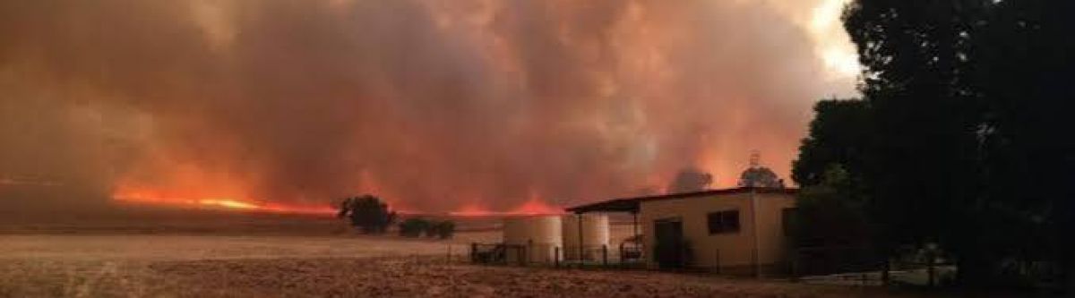 Mega Charity Meet for the VIC Fires (Vic) Cover Image