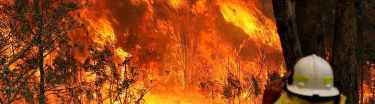 NSW RFS charity cruise (ACT) Cover Image