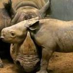 Graham Kennedy profile picture