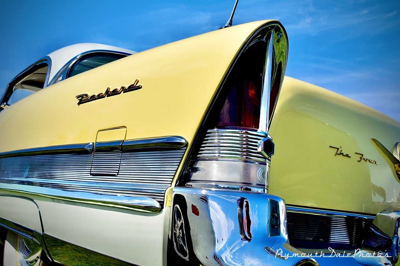 Tail fins!!