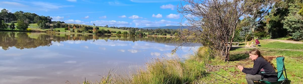 Paula Torana Lover. Cover Image