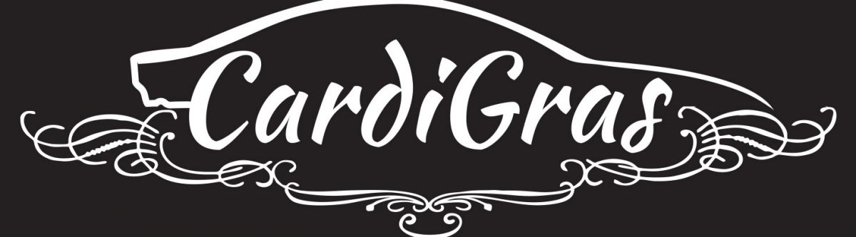 Cars Under The Stars Flinders View (Qld) Cover Image