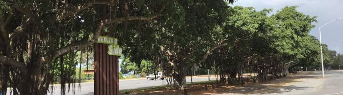 Coffee and Cruise your car on the Nard (Qld) Cover Image