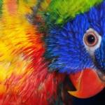 TEDDY Profile Picture