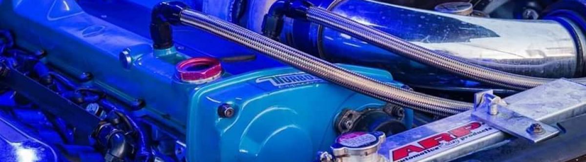 Noosa Heads Beach Cruise (Qld) Cover Image