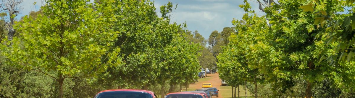 WA All Monaro Cruise - 2020 (WA) Cover Image