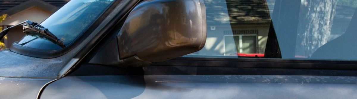 Oz Volvo Mini-Nats 2020 pre-game burgers (ACT) Cover Image