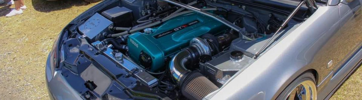 Field of strawberries (Qld) Cover Image