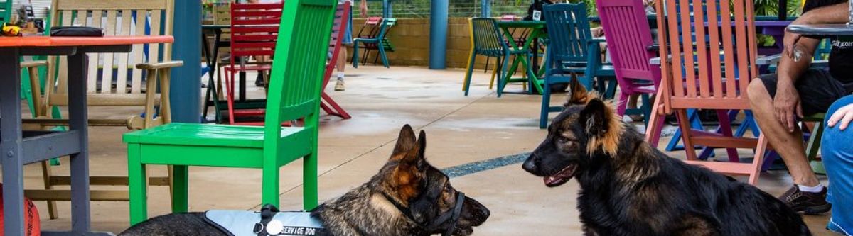 Cars Bikes and Coffee (Qld) Cover Image