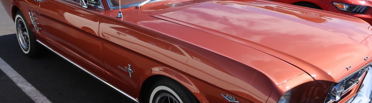 Mustang Show 'N" Shine & Boot Sale - ALL MUSTANGS WELCOME (SA) Cover Image