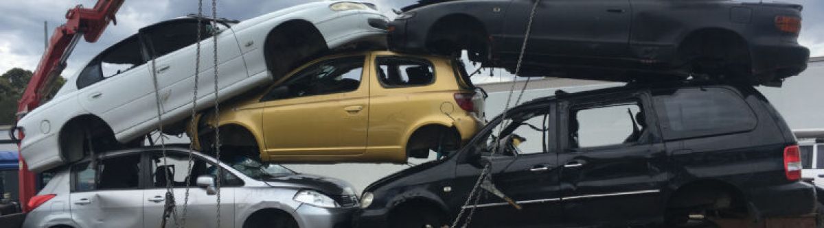 Scrap King Dealer Cover Image