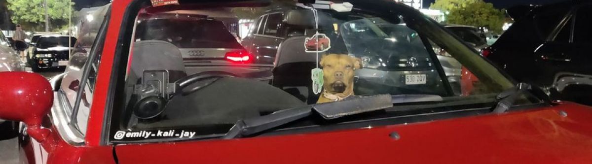 The Next Destination (Qld) Cover Image