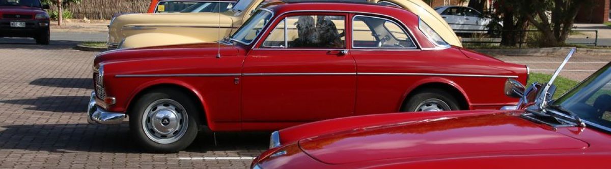 The Volvo Car Club of SA at Drive it Day SA 2021 (SA) Cover Image