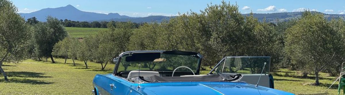 Cruise to Kalbar - Olive Grove Lunch and Classic car display (Qld) Cover Image