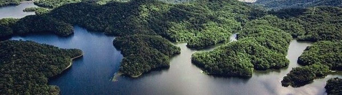 DOCK TO DAM CRUISE (Qld) Cover Image