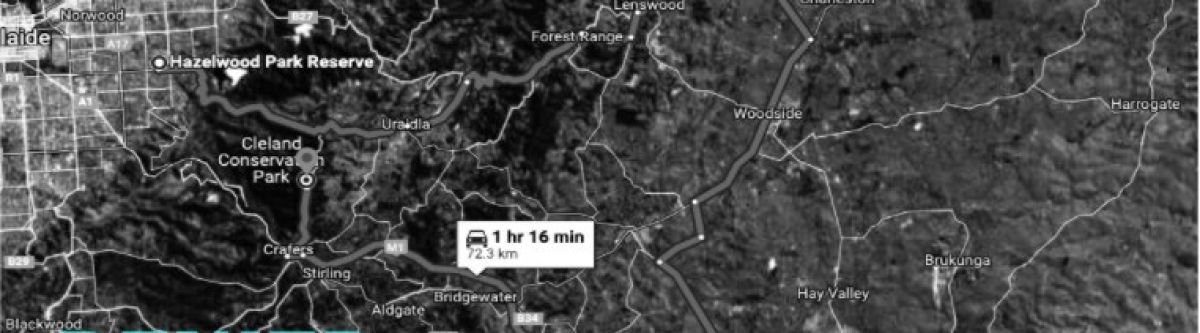 CRUISE W/ DENIED - SUNDAY HILLS & LUNCH Cover Image