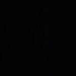 Dominic Profile Picture