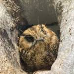 Jules N Profile Picture