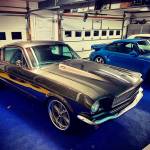 brucebark Profile Picture