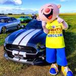 mark andrew Profile Picture