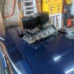 Toby 900 Profile Picture