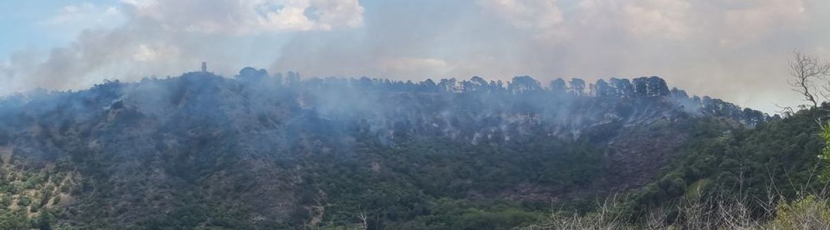 2022 Charity Car Cruise for Local CFS (SA) Cover Image