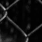 pavkr Profile Picture