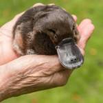 Liam French Profile Picture