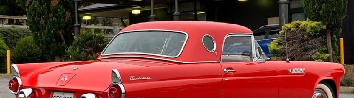 Chrome in the Valley (SA) Cover Image