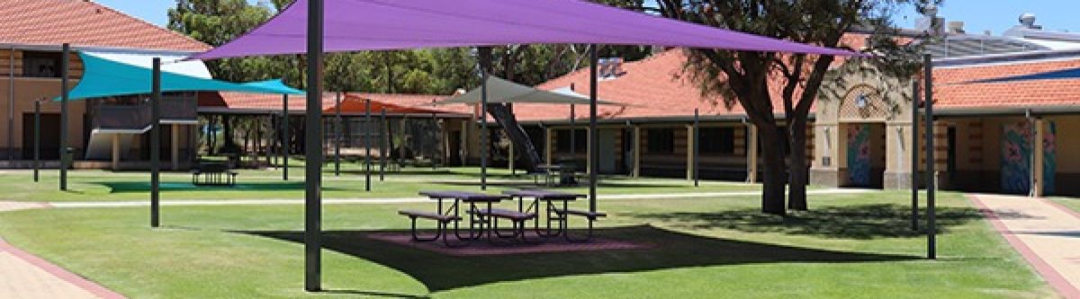 Northern Steel Show and Shine (WA) Cover Image