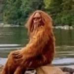 Salty Seadawg Profile Picture