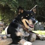 Triggy22 Profile Picture