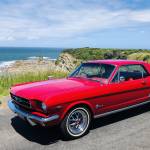 Dennis Anderson Profile Picture