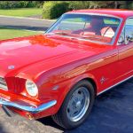 Kevin Cunningham Profile Picture