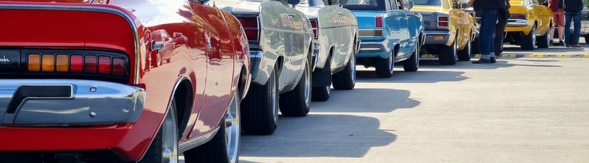 Regals monthly meet (NSW) Cover Image