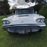 Thunderbird59 Profile Picture