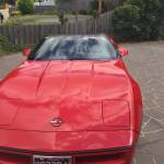 kiwi Profile Picture